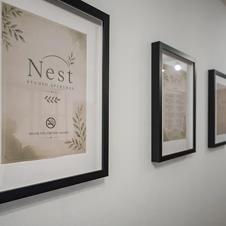 Nest Apartment
